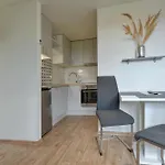Blatensky House 393 - Apartma 2 公寓 阿贝尔塔米